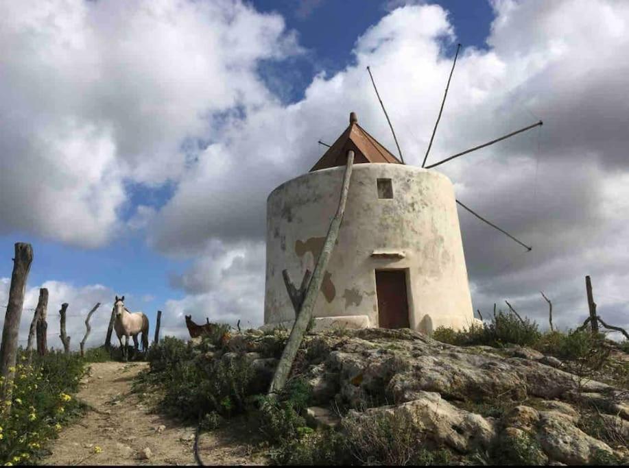 La Torre Eco-Suite Vejer de la Frontera Eksteriør bilde