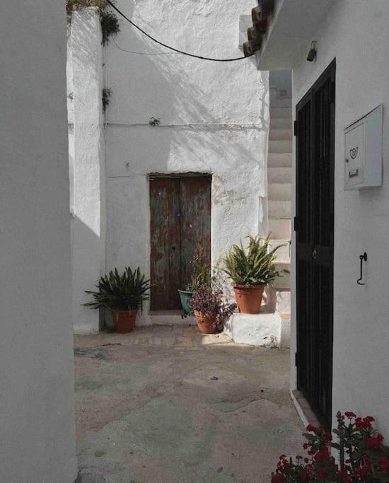 La Torre Eco-Suite Vejer de la Frontera Eksteriør bilde